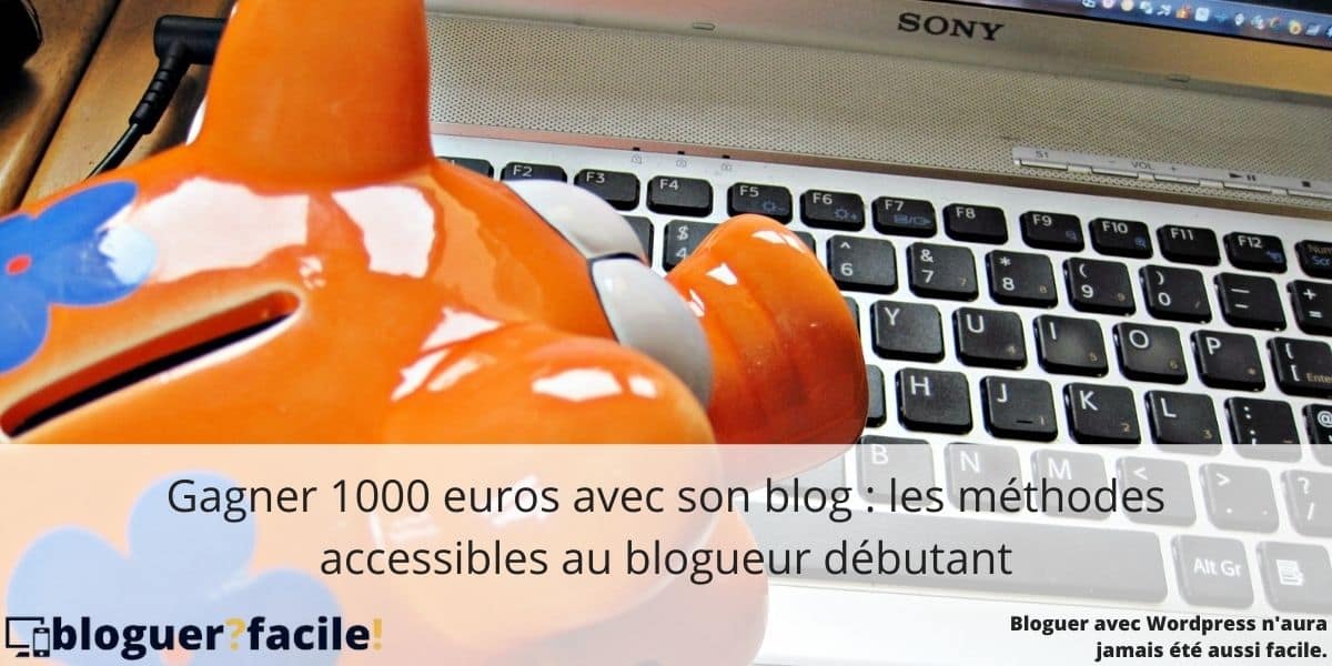 gagner-1000-euros-avec-site Découvrez comment gagner 1000 euros par an avec votre blog. Car bloguer peut être une activité rémunératrice, en plus d'être plaisante et chronophage.